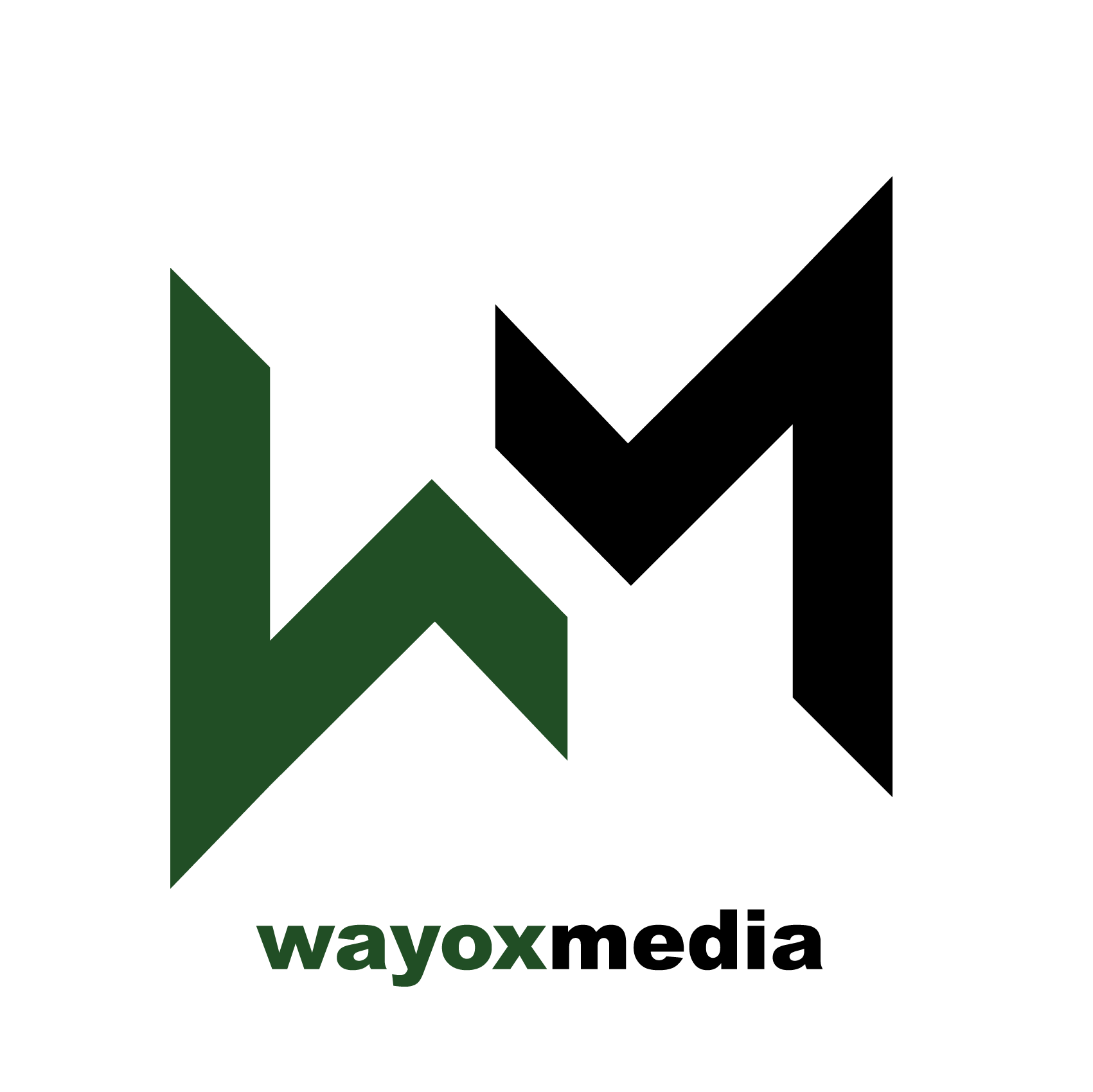 Wayox Media Logo